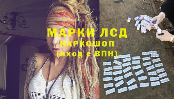 крисы Армянск