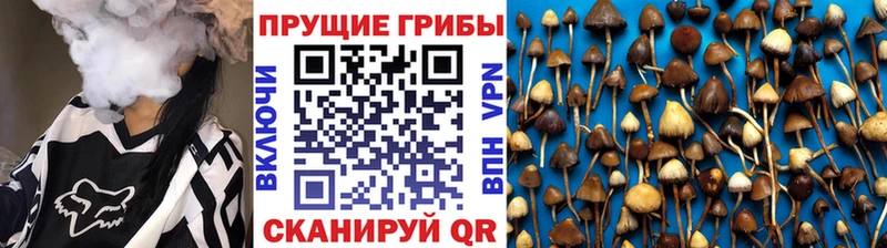 дарнет шоп  Можга  Галлюциногенные грибы Magic Shrooms 